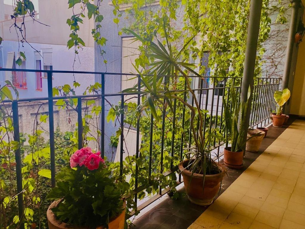 Innsevillaluxury Apartment Pilatos Экстерьер фото